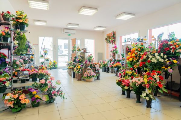 yzeure-4 Photo de l'agence Pompes Funèbres Krost - Yzeure